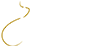 Vaentes Logo